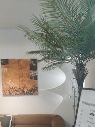 -小梨·OndaPro·专业脱毛连锁机构