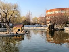 -北京市海淀外国语实验学校