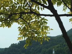 -逸廊大堂吧-下午茶·简餐-千岛湖自由洲际殿