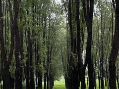-东郊湿地公园
