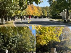 -长春世界雕塑园冰雪艺术天地