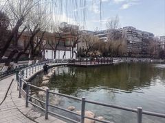 -莲湖公园