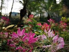 -人民公园(罗湖区)