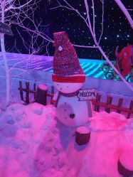 -圣名游乐城冰雪大世界
