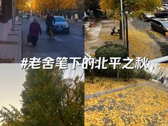 -簋街