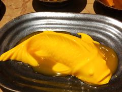 斗鱼-斗鸡饭场伙(新南门店)