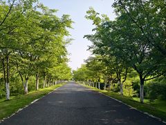 -宜兴龙背山森林公园