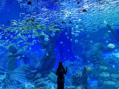 -波塞冬海底世界