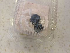 -红宝石·鲜奶小方·海派西点房(金杨店)