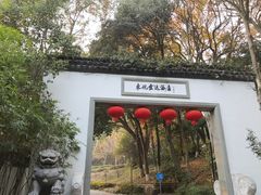 -东航云逸酒店(九溪烟树店)