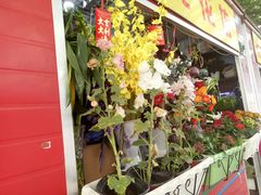 -黄桷坪涂鸦艺术街