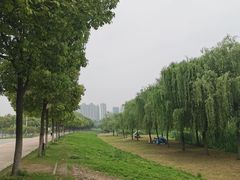 -汉江湾体育公园