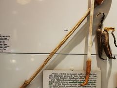 -冰岛阴茎博物馆