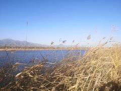 -野鸭湖国家湿地公园