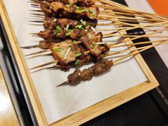 -山野的朋友露营炭火烤肉