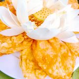 普者黑美食之——荷花宴