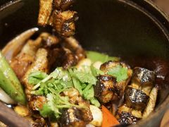 -铁公鸡·四川料理(天环广场店)