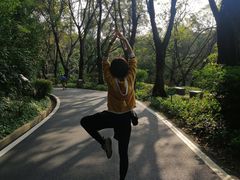 -广州雕塑公园