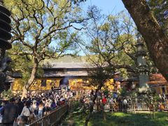 -普陀山风景名胜区-法雨禅寺