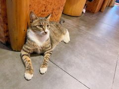 -小木屋米酒店·韩国料理(深圳总店)