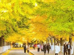 -辽东学院(南校区)