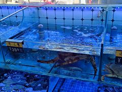 -日照大牌檔•小船海鲜(万平口店)