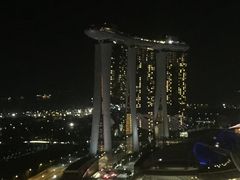 -新加坡丽思卡尔顿美年酒店