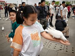 -天津妈祖文化园