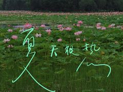-东郊湿地公园