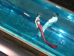 -绍兴梦享海洋公园