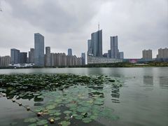 -天鹅湖体育公园