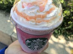 -星巴克(古美路店)