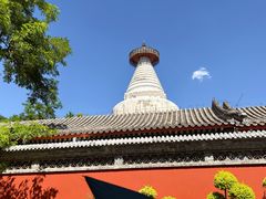 -华天延吉餐厅(西四总店)
