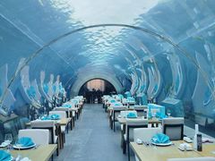 -涛·海底餐厅·美人鱼·自助餐·海底隧道(三亚海棠湾洲际度假酒店)