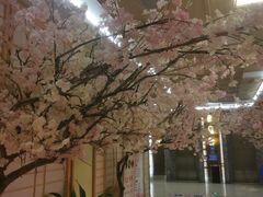 -极乐汇汗蒸会馆(杭州店)