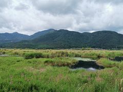 -腾冲北海湿地