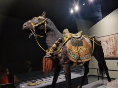 -呼和浩特博物馆