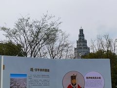 -荷兰花海