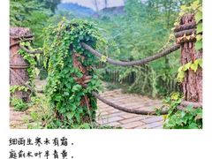 -道林古镇