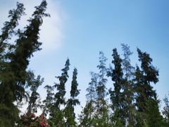 -南宁良凤江国家森林公园