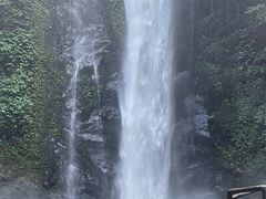 -莫里热带雨林景区