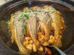 -有喜胶东小馆(太申祥和店)