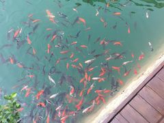 -山西通天峡景区