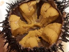 -海胆小馆(东北水饺·春柳店)