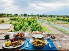 -翠田Green Field Kitchen