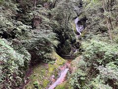 -牛背梁国家森林公园