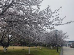 -石湖景区