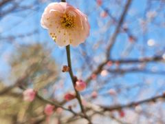 -鹫峰国家森林公园