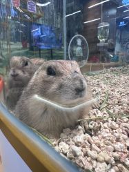 -小象动悟公园(龙湖亦庄天街店)