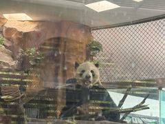 -成都动物园